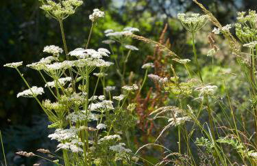 The Squeak at Moor Farm - Foto 20