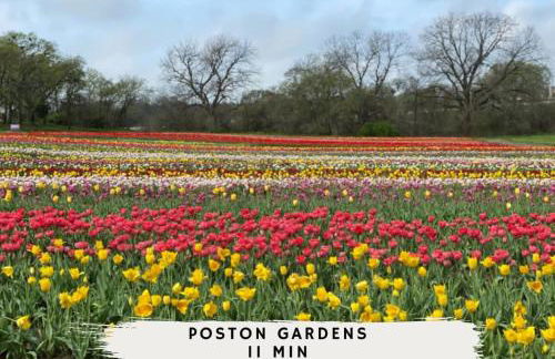 Paradise Modern Home Pool & Hot Tub for over 30 Nights - Foto 40