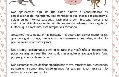 Villa Beija-Flor 1 - Suíte alexa com piscina privativa - Foto 15