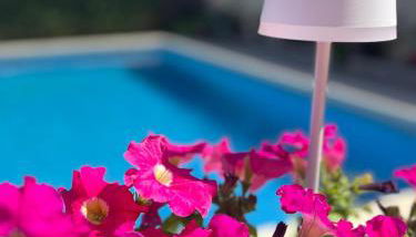 PARADISE GARDEN - Foto 2