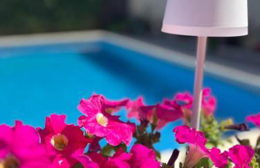 PARADISE GARDEN - Photo 2