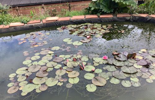 polgoon Vineyard annex Penzance - Photo 20