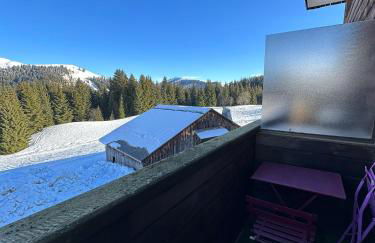 Studio au cœur du Praz-de-Lys - Les Pralyssimes - Foto 10