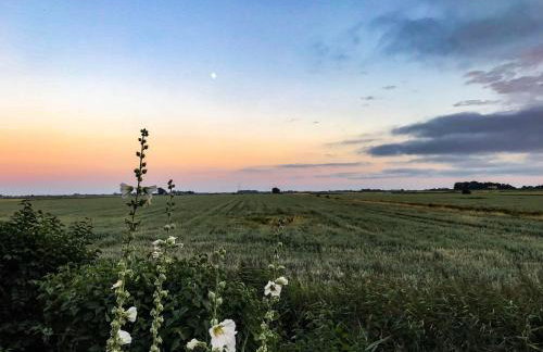 Gartenhaus Frieda - Foto 10