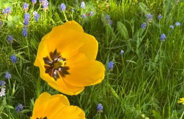 Apartment Montabaur Heiligenroth - Foto 10