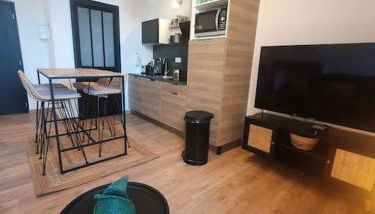 -Garrigue- Face à la Cité médiévale studio terrasse classé 4☆ - Foto 5