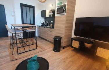 -Garrigue- Face à la Cité médiévale studio terrasse classé 4☆ - Foto 5