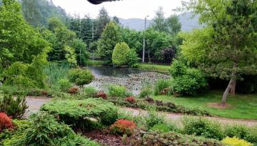 Dzikie południe - Foto 4