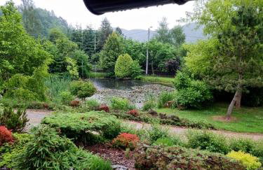 Dzikie południe - Foto 4