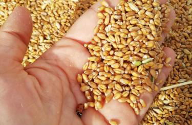 Sorelle Biologiche - Photo 75