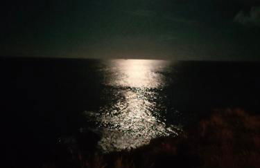 Alojamento dos cagarros - Foto 36