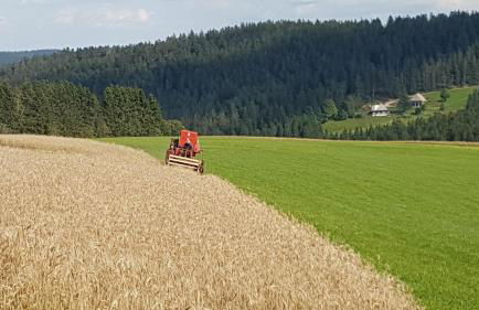 Ferienwohnung am Schneeberg - Foto 41