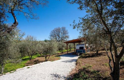 Onar Camper - Photo 19