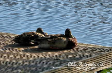 Elite Retreats 4U Lakeside Hot Tub Log Cabin with the fishing peg at Tattershall Lakes Park - Foto 9
