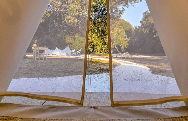 Masseria Cuturi - Photo 38