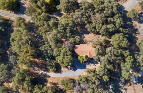 Bear Hollow by Sequoia National Park - Foto 29