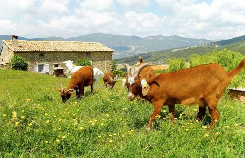 Holiday Home Le Cèdre by Interhome - Photo 41