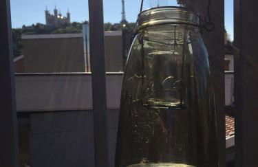 Les Toits de Lyon au coeur du centre-ville tout à pied - Foto 17