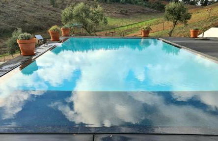 Gecko Pego Longo - Foto 51