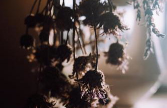 Stodoła naturalnie - wyjątkowy dom z balią na Kaszubach nad jeziorem - Foto 50