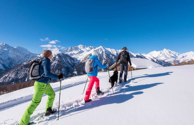 Holiday Home in Obervellach Near ski Area - Photo 20