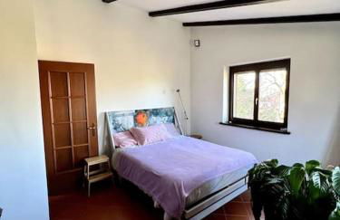 Apartment in Villa La Carruba - Photo 34