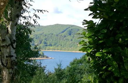 Appartement charmant à La Salvetat-sur-Aout 50 m² avec jardin - Foto 8