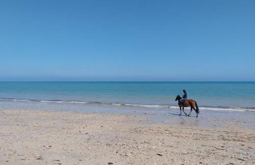 Gîtes de la Mouette - Le Sauticot 4-5 personnes - Foto 16