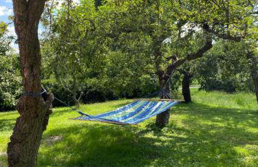 Agroturystyka Borów - pokoje - Foto 21