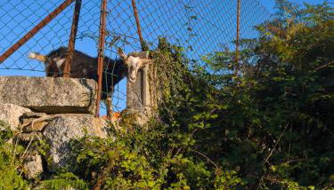 Casa de Baixo - Foto 3