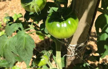 Bus atypique au bord du canal du midi et au cœur d'une forêt 2 chambres - Foto 40