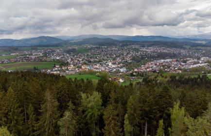 Bayerwaldchalet 2 - Foto 16