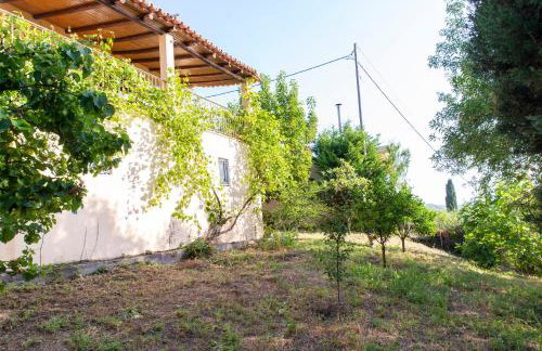 Villa with private garden - Foto 10