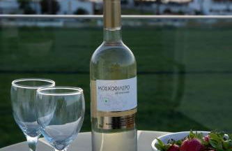 Salt lake view houses - Foto 23