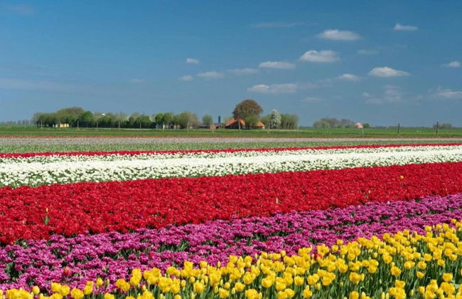 Lovely Tent with Kitchen & Bathroom Located near Pond - Photo 15