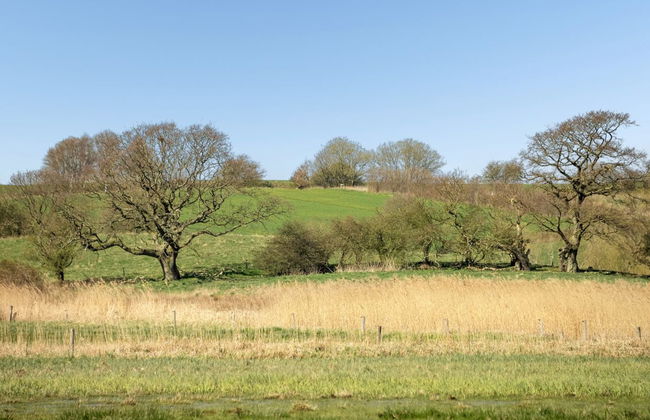 3 bedroom House in Broager with terrace and sauna - Photo 26