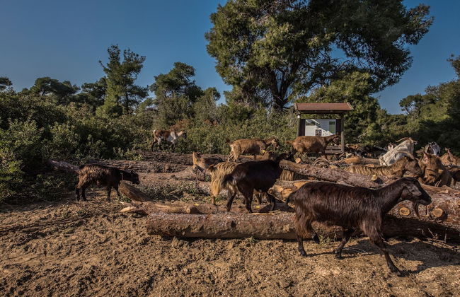 Villa Athena by halu! Villas - Foto 33