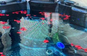 Maison avec piscine, sauna, spa - Photo 17