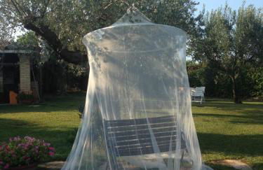 Agriturismo Villa Vetiche - Foto 59