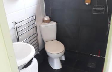 Bryn Elltyd Eco House - Foto 20