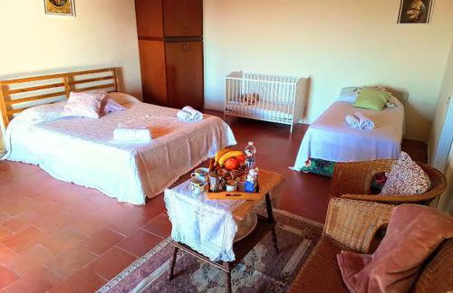 Poderino La Noce - Foto 32