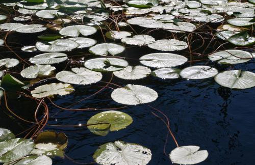 Apartment Luna - Foto 65