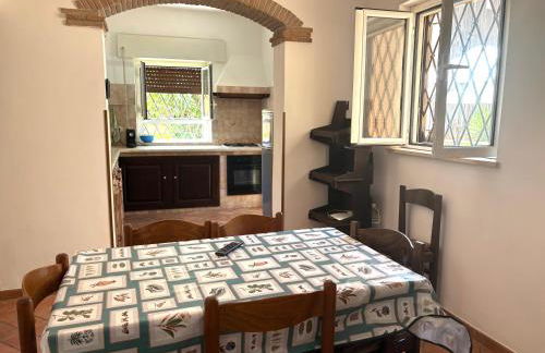 Vacanze Romane - Foto 14