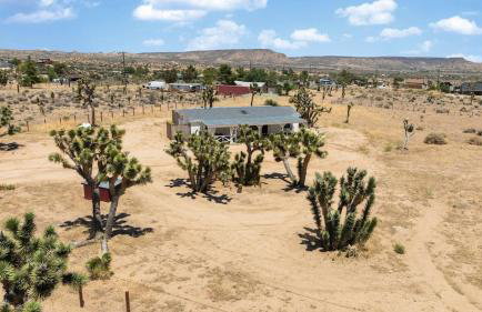 The Whispering Wind Tree - Foto 27