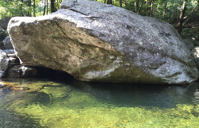 Domaine en Terre Happy - Foto 73