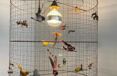 Luxuriöses Loft mit großer Sonnenterrasse & Sauna - Foto 28