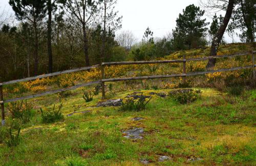 Casinha Rubiães - Photo 15