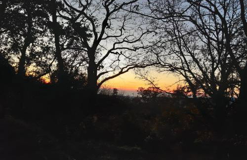 La Casetta di Ross - Foto 11