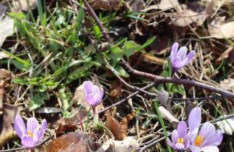 MonteMare Holiday home - Foto 40