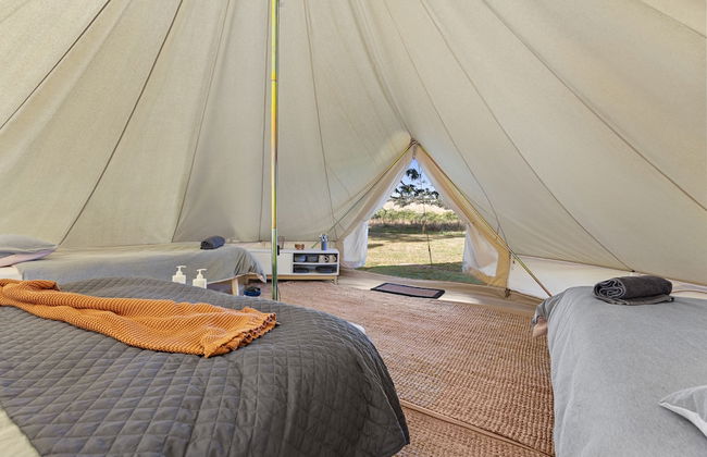 Forrest Holiday Park - Photo 3